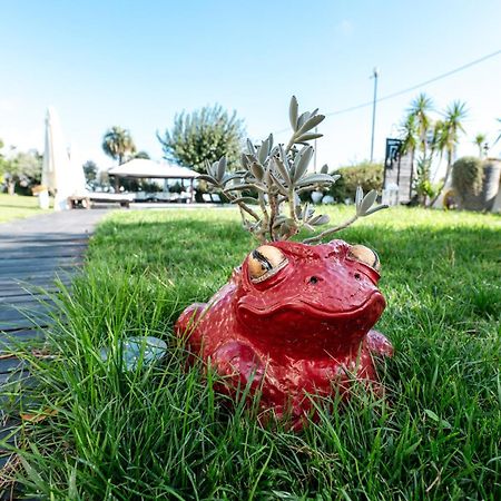 Villa Verney 上阿尔比索拉 外观 照片